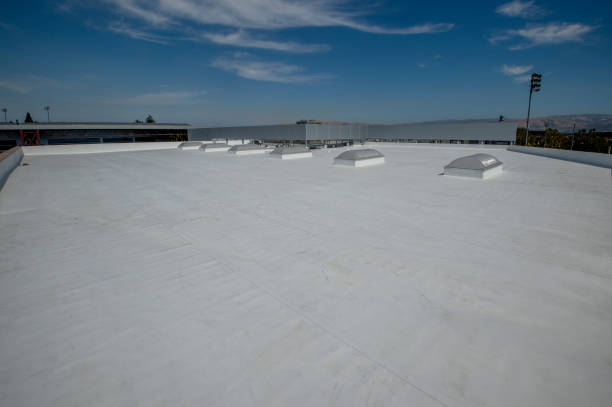 Skylights in Comstock Park, MI