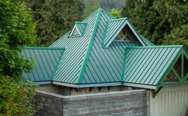 Best Metal Roofing Installation  in Comstock Park, MI
