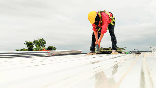 Best Roof Moss and Algae Removal  in Comstock Park, MI