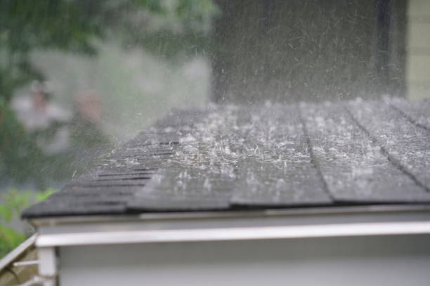 Best Gutter Installation and Repair  in Comstock Park, MI