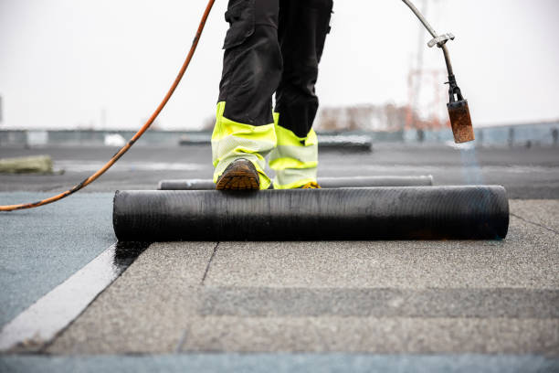 Best Cold Roofs  in Comstock Park, MI