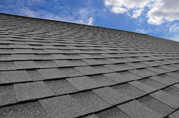 Best Roof Moss and Algae Removal  in Comstock Park, MI