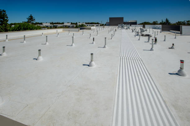 Best Commercial Roofing Services  in Comstock Park, MI